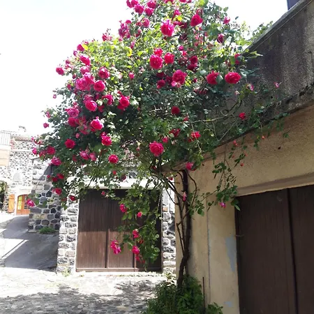 Vakantiehuis Le Cocon, Piscine Et En Ardeche, Adults Only Lussas